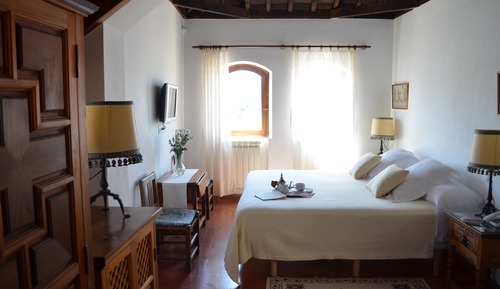 Deluxe Double or Twin Room (Alhambra View)