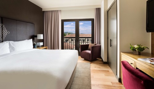 Room, 1 King Bed