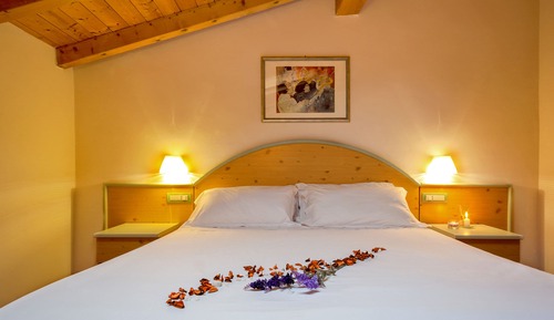 Standard Double Room Single Use, Annex Building