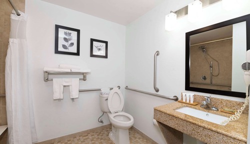 Room, 1 King Bed, Accessible, Non Smoking (Roll-in Shower)