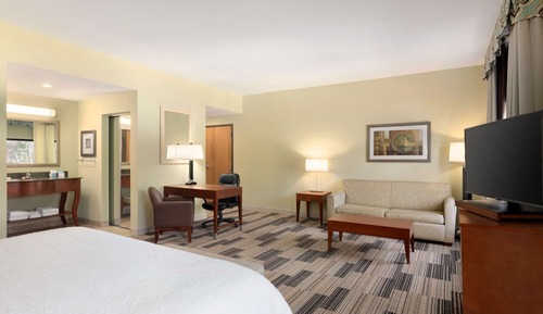 Studio, 1 King Bed, Accessible (Mobility, Roll-in Shower)