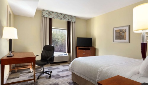 Room, 1 King Bed, Accessible (Mobility, Roll-in Shower)