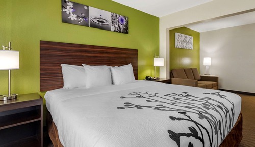 Suite, 1 King Bed with Sofa bed, Non Smoking
