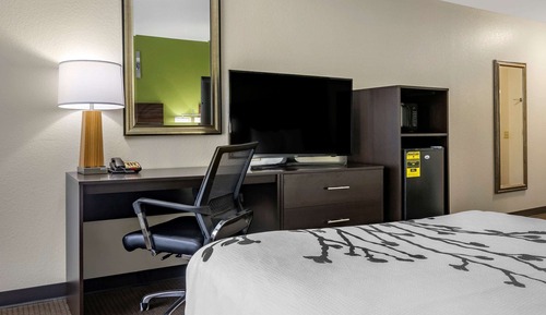 Standard Room, 1 King Bed, Non Smoking