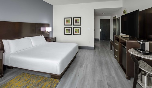 Room, 1 King Bed (Mobility & Hearing, Roll-In Shower)