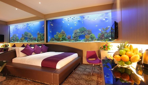 Aqua Room