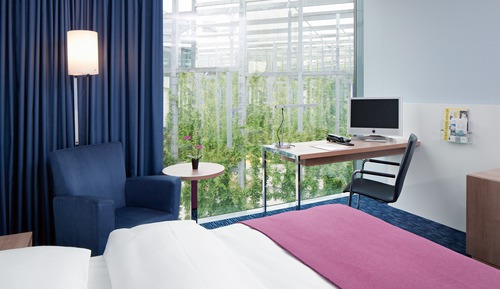 Standard Double Room, 1 King Bed