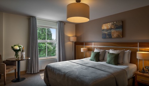 Standard Double or Twin Room, 1 King Bed