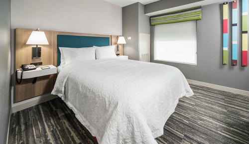 Room, 1 King Bed, Accessible, Bathtub (Mobility & Hearing)