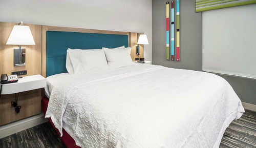 Room, 1 King Bed, Accessible (Mobility & Hearing, Roll-In Shower)