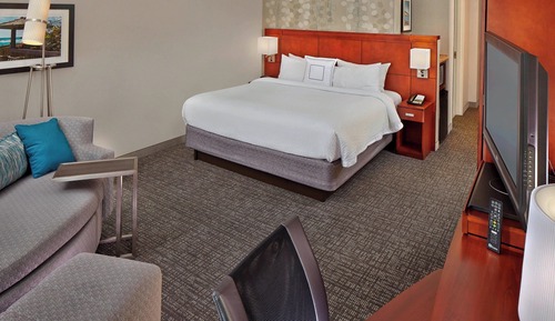 Room, 1 King Bed with Sofa bed