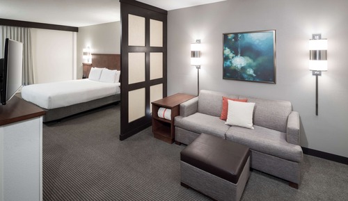 Room, 1 King Bed, Accessible (Roll-in Shower, Sofabed)