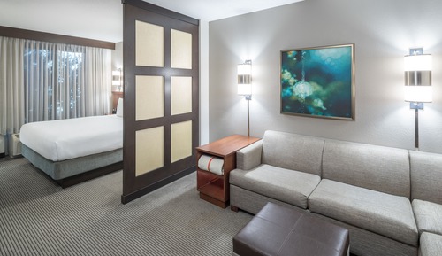 Room, 1 King Bed with Sofa bed (High Floor)