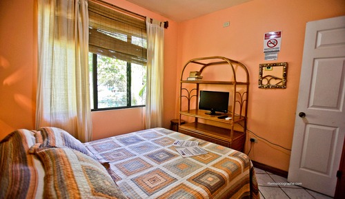 Standard Apartment, 1 Double Bed with Sofa bed