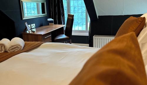 Double or Twin Room