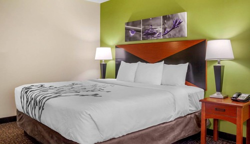 Standard Room, 1 King Bed, Non Smoking