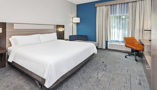 Standard Room, 1 King Bed, Mobility Accessible (Communications, Roll-In Shower)