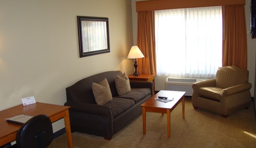 Standard Room, 1 King Bed with Sofa bed, Kitchen (King Studio with Half Kitchen)