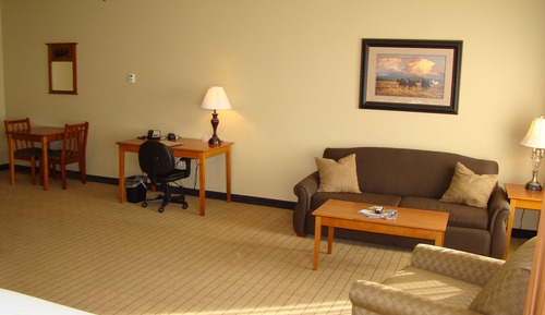 Deluxe Room, 1 King Bed with Sofa bed, Kitchen (Large King Studio Half Kitchen)