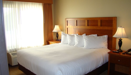 Deluxe Room, 1 King Bed with Sofa bed, Kitchen (1 Bedroom King Full Kitchen)