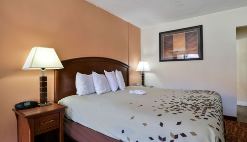 Suite, Accessible, Refrigerator & Microwave