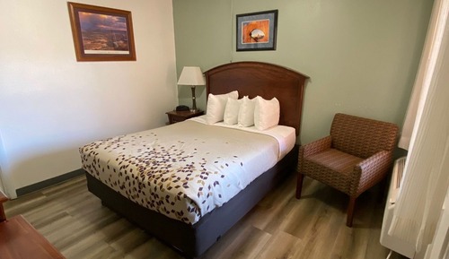Superior Room, 1 Queen Bed, Non Smoking