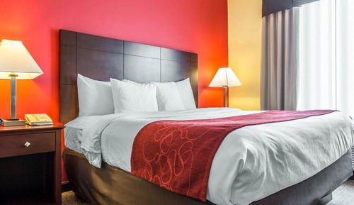 Suite, 1 King Bed with Sofa bed