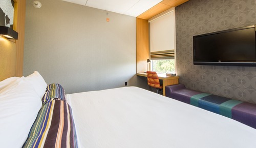 Room, 1 King Bed (Mobility/Hearing Access, Roll-In Shwr)