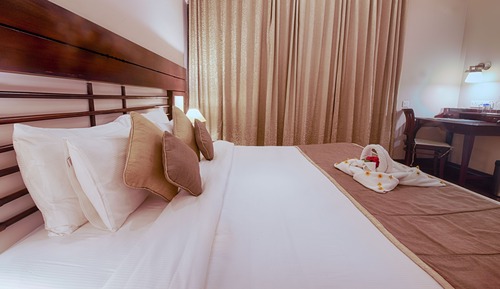 Premium Suite