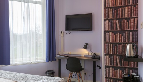 Economy Room, 1 King Bed, Non Smoking (Small Room)