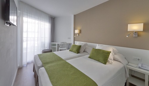Standard Twin Room