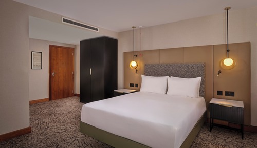 Room, 1 Queen Bed, Accessible