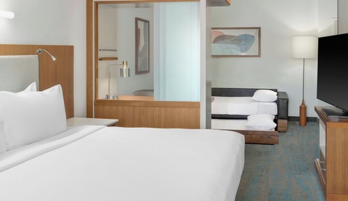 Studio, 1 King Bed with Sofa bed (Mobility Accessible, Roll-in Shower)