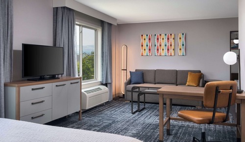 Premier Studio, 1 King Bed, Non Smoking