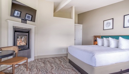 Room, 1 King Bed