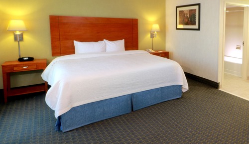 Studio Suite, 1 King Bed