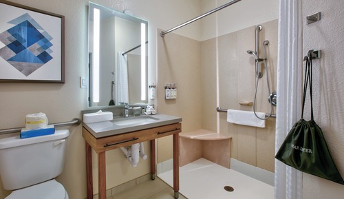 Studio Suite, 1 Queen Bed, Accessible (Communication, Roll-In Shower)