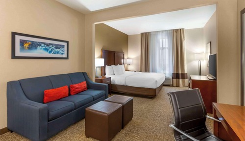 Suite, 1 King Bed with Sofa bed, Non Smoking (Non- Pet Friendly)