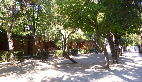 Classic Bungalow, 1 Bedroom, Patio (2 pax)