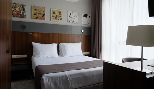 Standard Double Room, 1 Queen Bed, Non Smoking, City View
