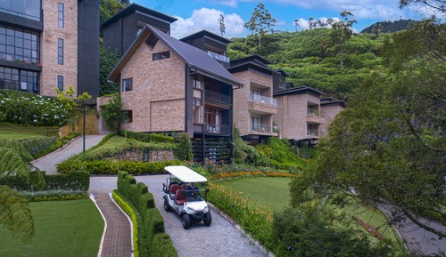 Mountain View Suite