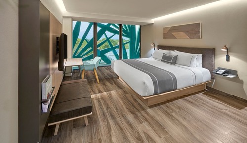 Room, 1 King Bed, Non Smoking