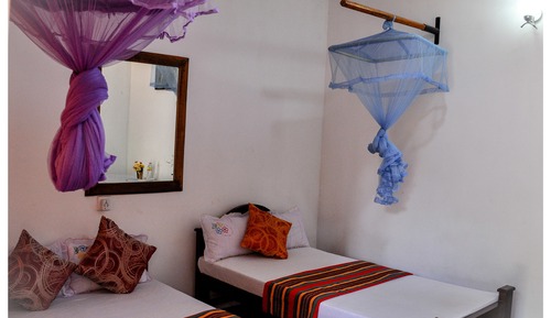 Standard Double Room, Multiple Beds, Non Smoking