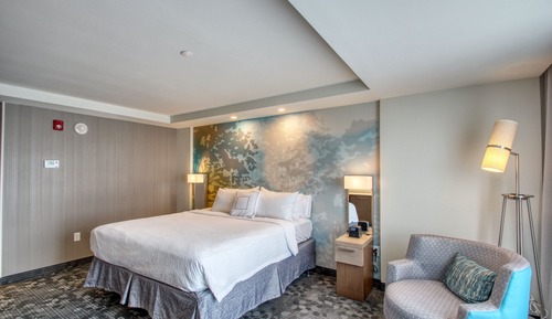 Room, 1 King Bed with Sofa bed, Non Smoking (Hearing Accessible)