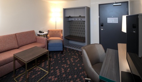 Standard Room, 1 King Bed with Sofa bed (Walk-In Shower)