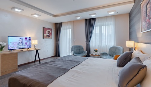 Deluxe Double or Twin Room