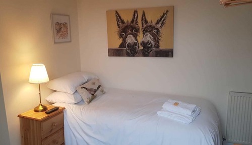 Standard Single Room (Room 1)