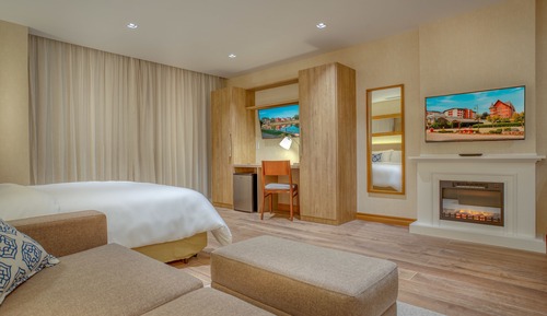 Room, 1 Queen Bed with Sofa bed, Accessible, Non Smoking
