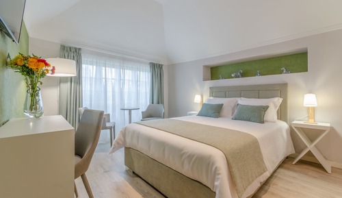 Superior Double Room, 1 Queen Bed, Garden View