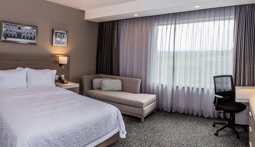 Suite, 1 Queen Bed, Refrigerator & Microwave
